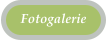 Fotogalerie