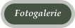 Fotogalerie